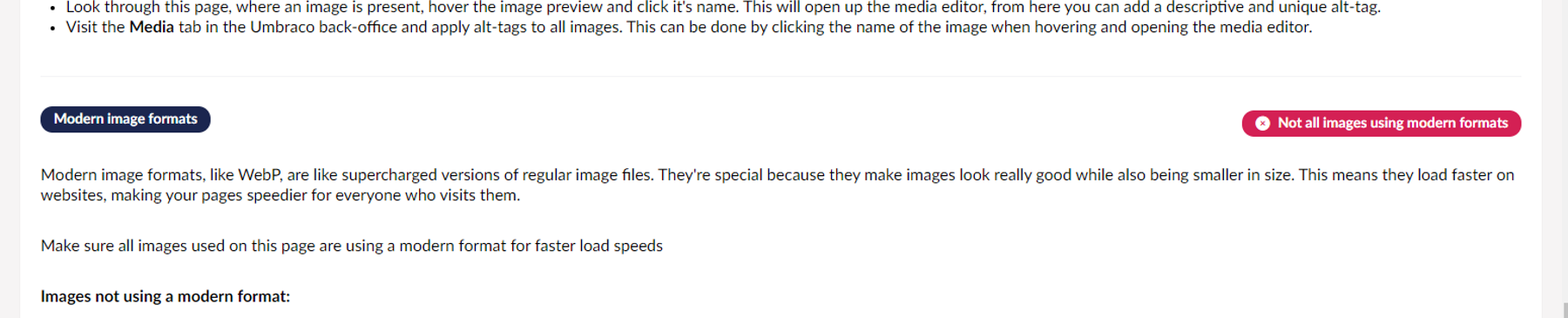 Wonder Seo Checker Hero